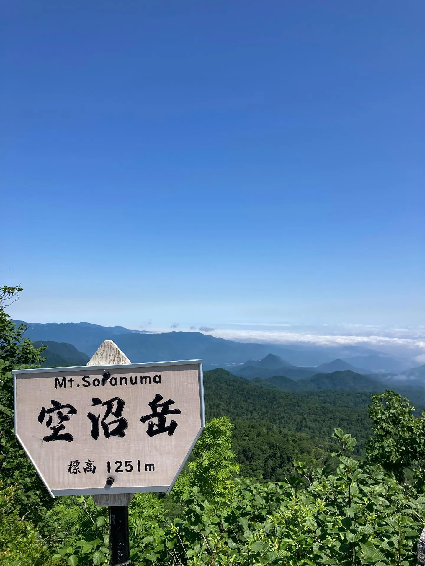 新六のoguです。